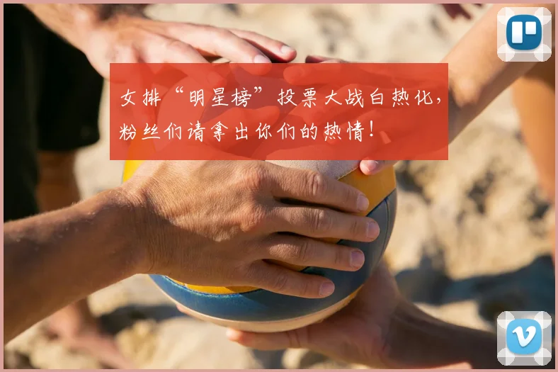 女排“明星榜”投票大战白热化，粉丝们请拿出你们的热情！